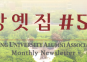 상단 배너